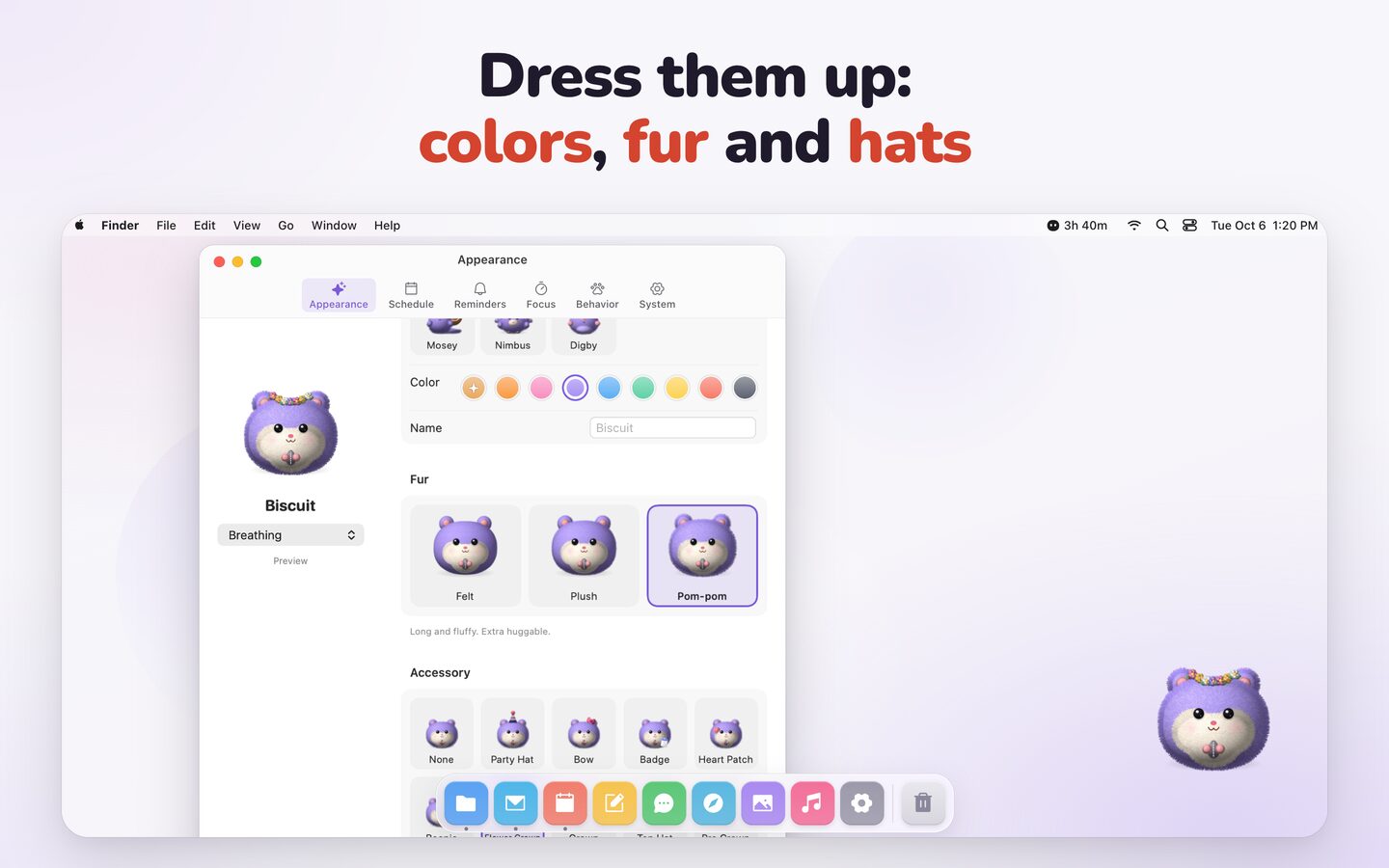 The Appearance settings with Biscuit in lavender, the Felt, Plush and Pom-pom fur choices and a row of accessories.
